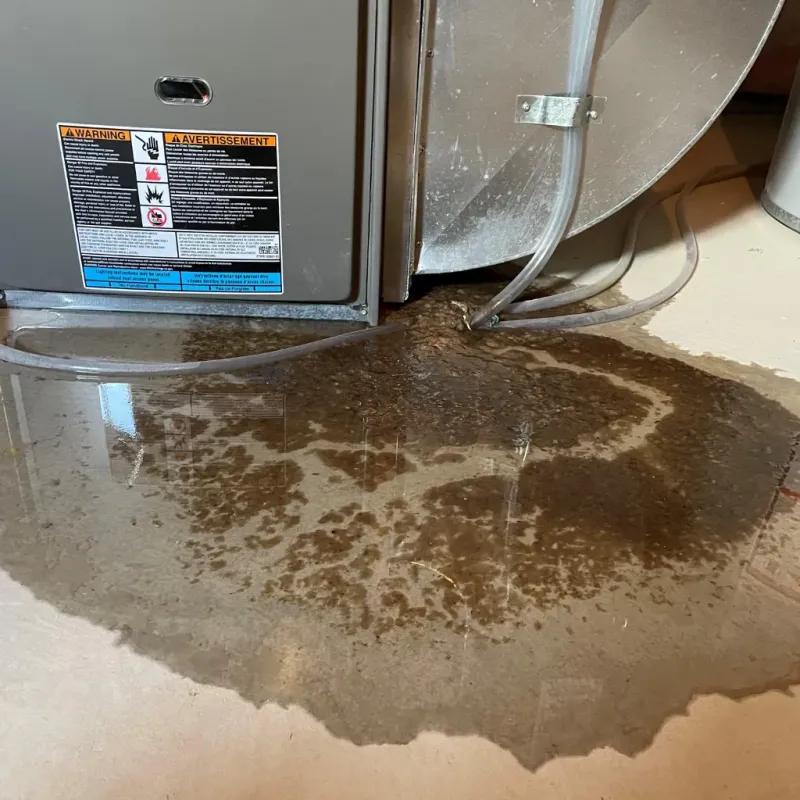 Appliance Leak Cleanup in Big Pine, CA