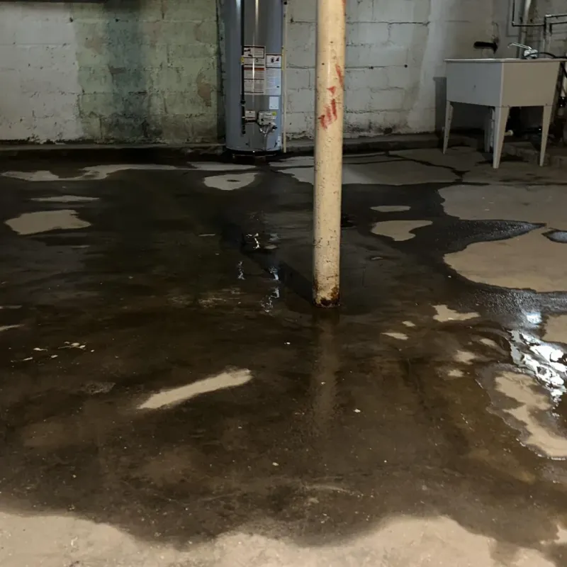 Emergency Water Extraction And Removal in Big Pine, CA